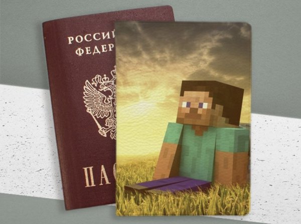 Помогите найти паспорт в обложке майнкрафт, Астрахань, Потери и находки, объявление